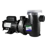 Motobomba Sibrape 1/3 Cv - Motor Weg 110/220 Volts