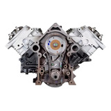 V8