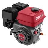 Motor À Gasolina Manual 6.5 Cv