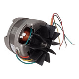 Motor Bivolt Para Churrasqueira Giratória Gira Grill + Rosca