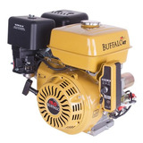 Motor Buffalo Gasolina Bfge 15cv Eixo Horizontal P. Eletrica