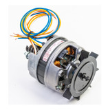 Motor De Churrasqueira Gira Grill Weg 1/30cv Reposicao