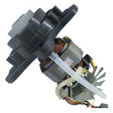 Motor De Multiprocessador 220v Philco All In One 2- Nacional