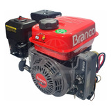 Motor Estacionário Gasolina Branco 4t 7hp Partida Elétrica