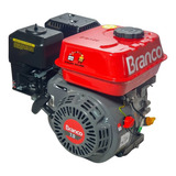 Motor Estacionário Gasolina Branco 4t 7hp