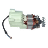 110v