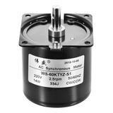 Motor Síncrono Ac220v Ws-60ktyz-s1 2,5 Rpm