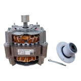 Motor Tanquinho Newmaq 10/12 Kg 1/4 127v