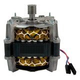 Motor Tanquinho Newmaq New Up 08kg 09kg 10kg 12kg 220v 127v