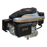 Motor Toyama Te65v4xp Gasolina Refrigerado Ar Partida Manual