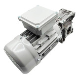 Motoredutor Q40 Com Motor 1/4cv Trifásico