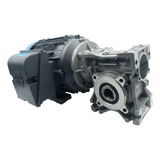 Motoredutor Q50 Com Motor 1/3cv Trifásico