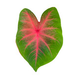 Vermelho