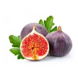 Pitaya