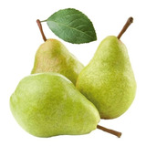 Plantio