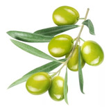 Oliveira