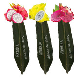 Mudas De Pitaya Pitaia Amarela- Vermelha E Branca -3 Mudas