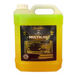 Multicar 5l Cadillac Multilimpador Apc
