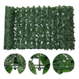 Muro Inglês Folhas De Ficus 1x1 Metros Pronto Para Uso