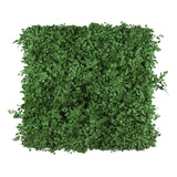 Muro Inglês Jardim Vertical Natural Preservado (sob Medida)