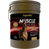 Cavalo
