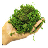 Musgo Artificial P/ Arranjos E Jardins 5 Litro