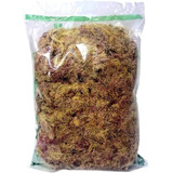 Musgo Esfagno 3 L Substrato Organico Orquídeas Carnívoras