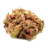 Musgo Esfagno Rosado 3l Seco P/ Orquídeas Plantas Carnívoras