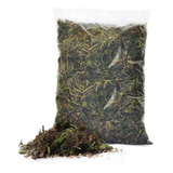 Musgo Esfagno Verde Para Orquídeas - 4 Litros - Substrato