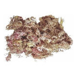 Musgo Sphagnum Rosa Planta Orquideas Artesanato