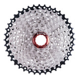 Roda