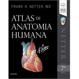 Netter - Atlas De Anatomia Humana