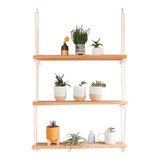 Plantas