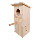 Ninho De Arara Casa Papagaio Aves Grandes Canindé