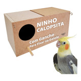 Criadeira