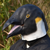 De