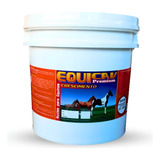Cavalo