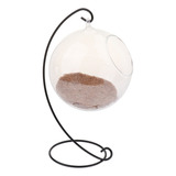 Nuevo Birdhouse Transparente Esférico De Vidro Papagaio