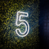 Números De 50cm 0 A 9 Decoração De Festas Painel Neon Led