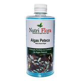 Nutriflora Algicida Petec 500ml - Tratamento Anti Algas Peteca Aquario