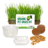 O Kit De Cultivo De Grama Para Gatos Cat Ladies: Sementes