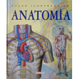 O Livro Do Corpo Humano Atualizado - Atlas Anatomia Humana