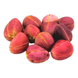 Obi Africano Vermelho 4 Gomos Rituais Trabalhos (10 Und)