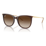 Óculos De Sol - Ray-ban - Rb4403l 669013 56 Cor Da Armação Marrom Translucido Cor Da Haste Ouro Cor Da Lente Marrom Desenho Quadrado