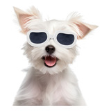 Óculos Para Cães Óculos De Sol