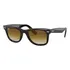 Óculos De Sol Ray-ban Wayfarer Classic Tamanho Large Armação Polished Tortoise Y Lente Light Brown