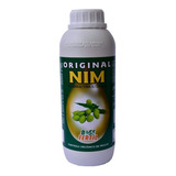 1l