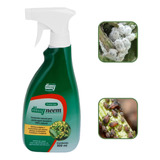 500ml