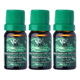 Melaleuca