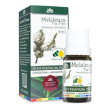 Óleo Essencial Puro Melaleuca - Tea Tree - Wnf - 5ml